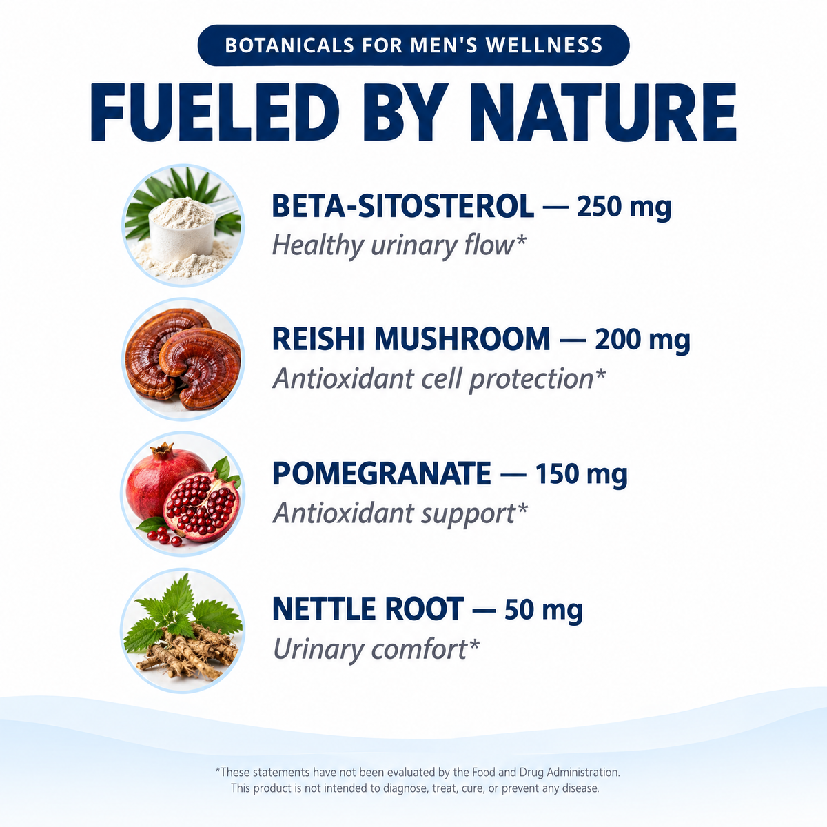 Ingredients – beta-sitosterol, reishi mushroom, pomegranate, nettle root