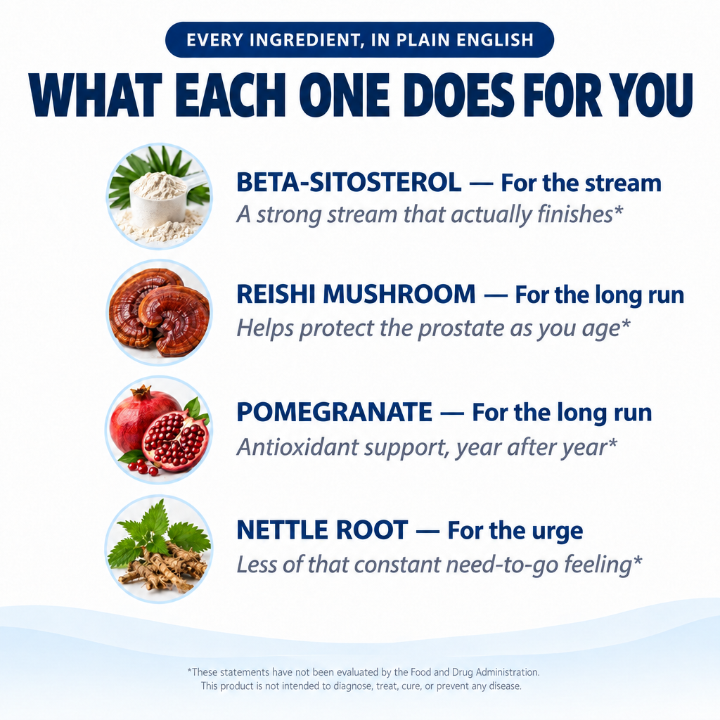 What each ingredient does for you – in plain English